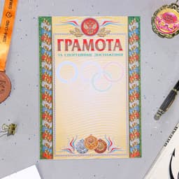 Портфолио в папке, ученика 5 - 9 класса, 8 грамот, А4