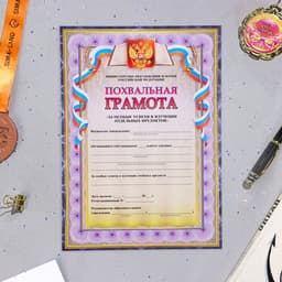 Портфолио в папке, 8 грамот, А4 «Старшеклассник»