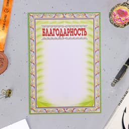 Портфолио в папке, 8 грамот, А4 «Старшеклассник»