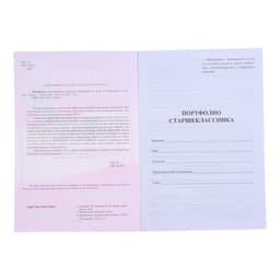 Портфолио в папке, 8 грамот, А4 «Старшеклассник»