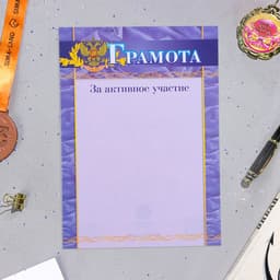 Портфолио в папке, 8 грамот, А4 «Старшеклассник»