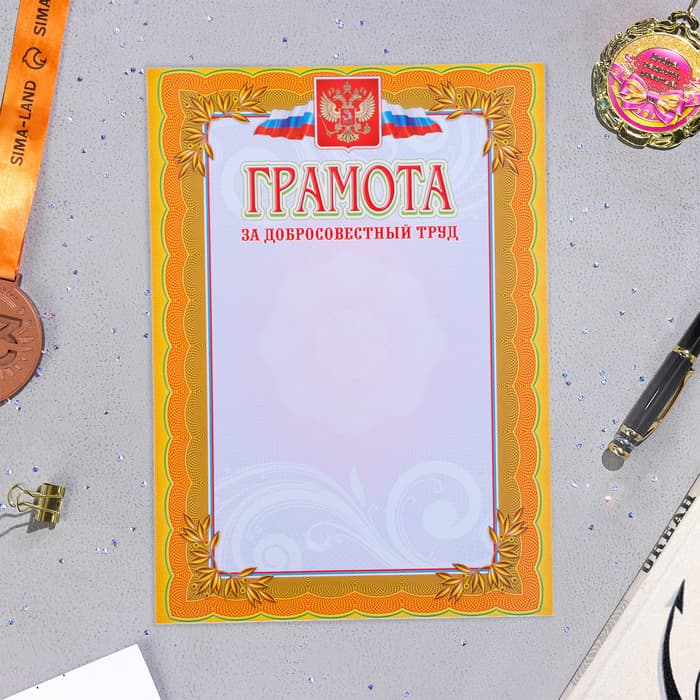 Портфолио в папке, 8 грамот, А4 «Старшеклассник»