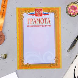 Портфолио в папке, 8 грамот, А4 «Старшеклассник»