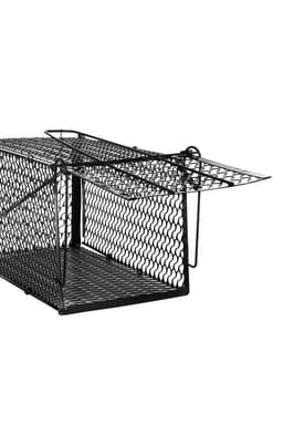 Крысоловка, 27×14×14 см, металлическая, Greengo