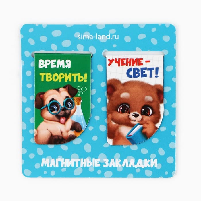 Подарочный набор в папке, 7 предметов «Выпускник детского сада»