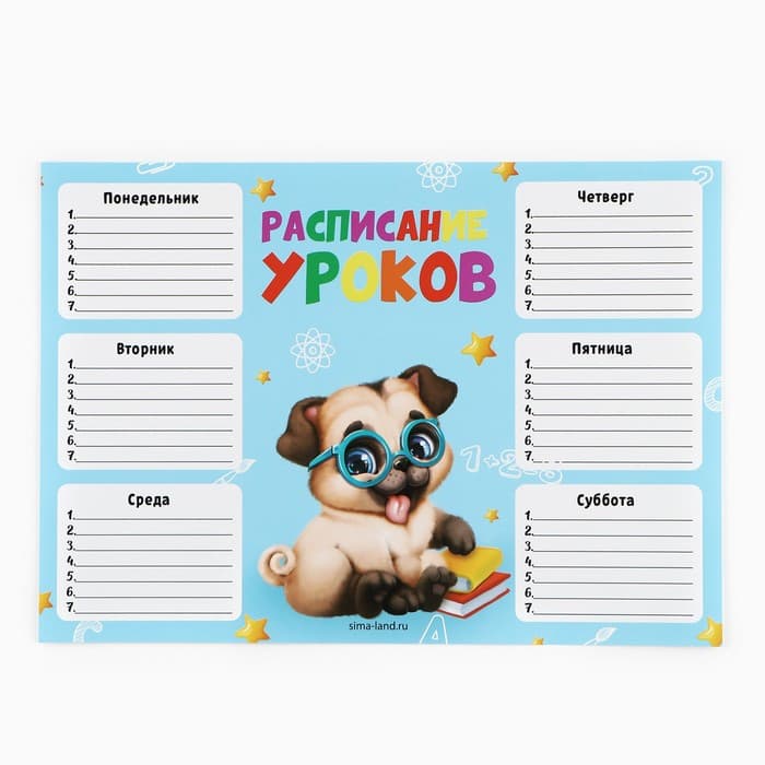 Подарочный набор в папке, 7 предметов «Выпускник детского сада»