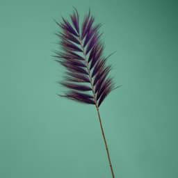 Сухоцвет на бамбуковом стебле, 250 см, фиолетовый