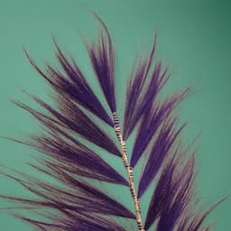 Сухоцвет на бамбуковом стебле, 250 см, фиолетовый