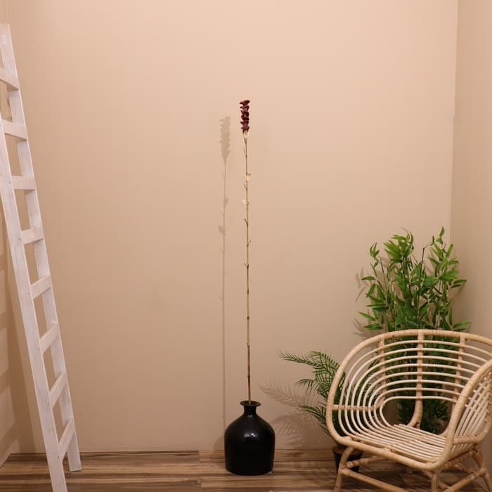 Сухоцвет на бамбуковом стебле, 150 см, фиолетовый