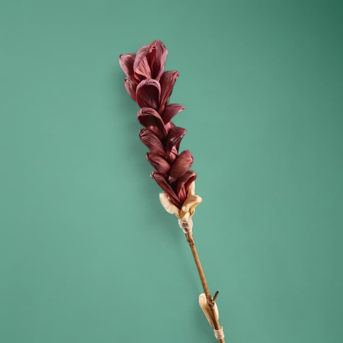 Сухоцвет на бамбуковом стебле, 150 см, фиолетовый