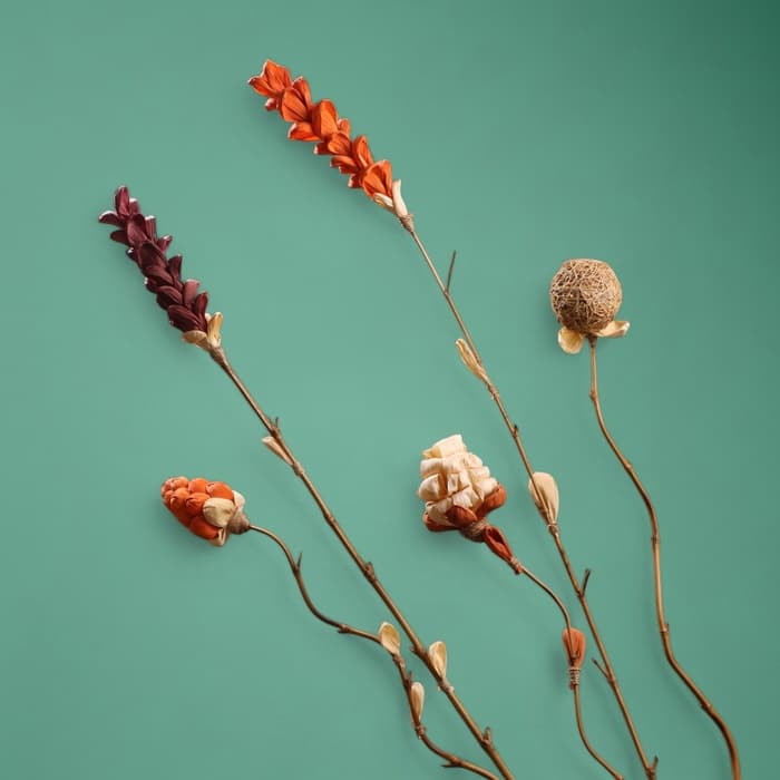 Сухоцвет на бамбуковом стебле, 150 см, фиолетовый