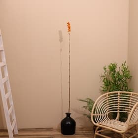 Сухоцвет на бамбуковом стебле, 150 см, оранжевый