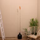 Сухоцвет на бамбуковом стебле, 150 см, оранжевый