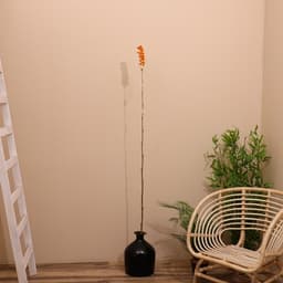 Сухоцвет на бамбуковом стебле, 150 см, оранжевый