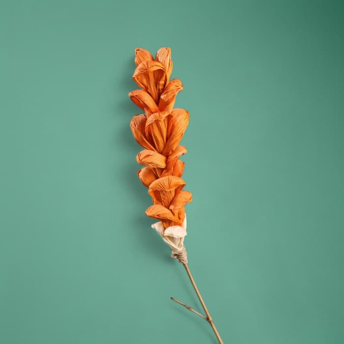 Сухоцвет на бамбуковом стебле, 150 см, оранжевый