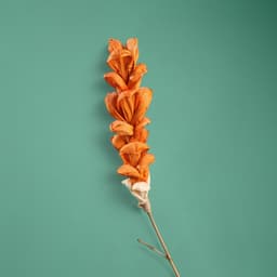 Сухоцвет на бамбуковом стебле, 150 см, оранжевый