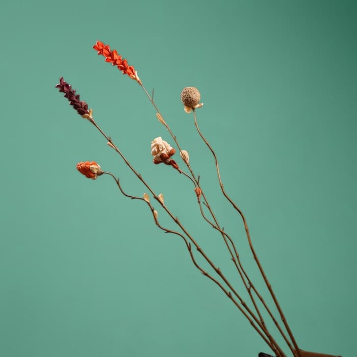 Сухоцвет на бамбуковом стебле, 150 см, оранжевый