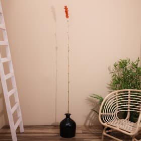 Сухоцвет на бамбуковом стебле, 150 см, коралловый