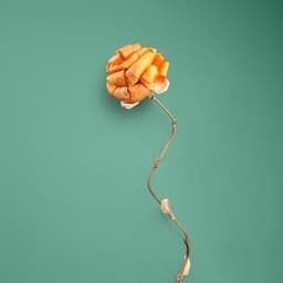 Сухоцвет на бамбуковом стебле, 150 см, оранжевый