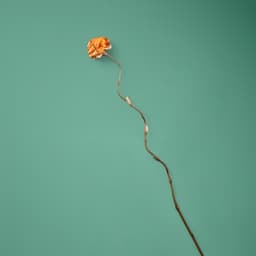 Сухоцвет на бамбуковом стебле, 150 см, оранжевый