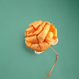 Сухоцвет на бамбуковом стебле, 150 см, оранжевый