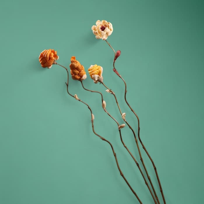 Сухоцвет на бамбуковом стебле, 150 см, оранжевый