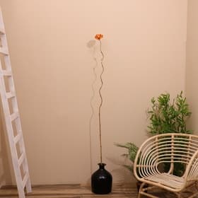 Сухоцвет на бамбуковом стебле, 150 см, оранжевый