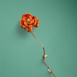 Сухоцвет на бамбуковом стебле, 150 см, оранжевый