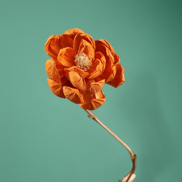 Сухоцвет на бамбуковом стебле, 150 см, оранжевый