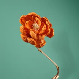 Сухоцвет на бамбуковом стебле, 150 см, оранжевый