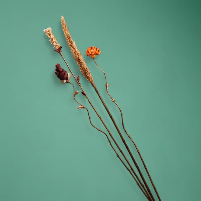 Сухоцвет на бамбуковом стебле, 150 см, оранжевый