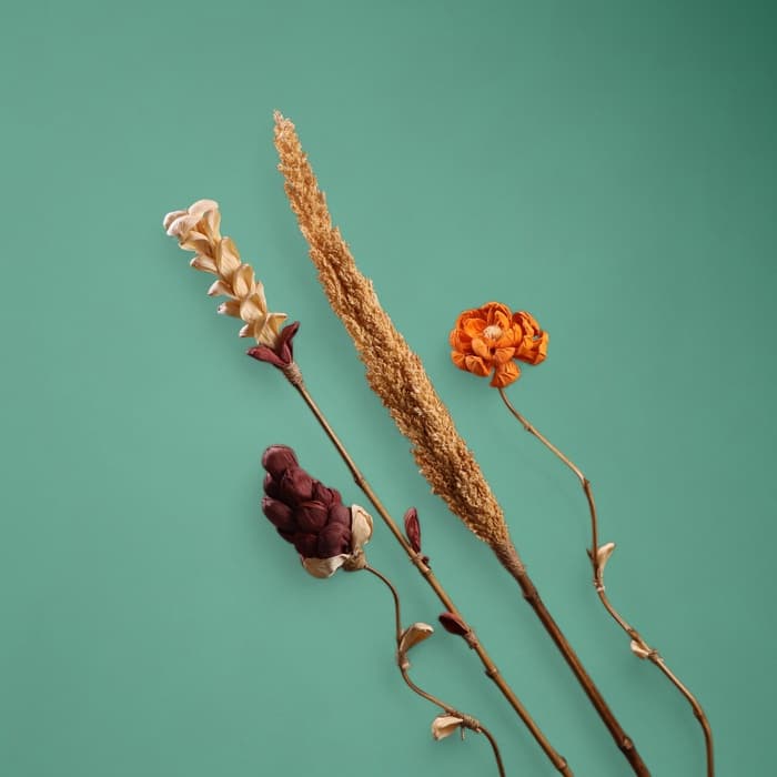 Сухоцвет на бамбуковом стебле, 150 см, оранжевый