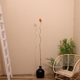 Сухоцвет на бамбуковом стебле, 150 см, коралловый