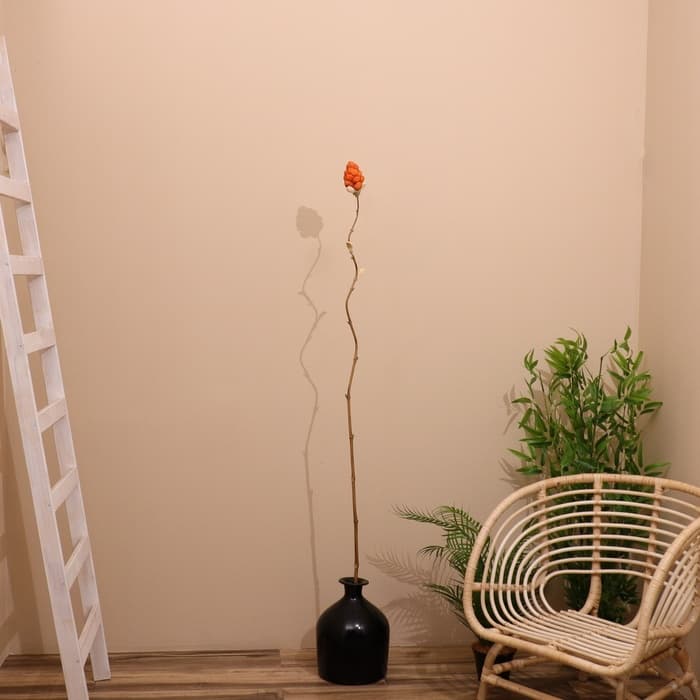 Сухоцвет на бамбуковом стебле, 150 см, коралловый