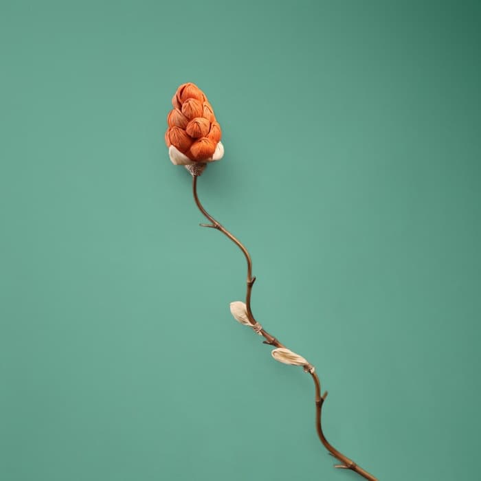 Сухоцвет на бамбуковом стебле, 150 см, коралловый