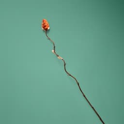 Сухоцвет на бамбуковом стебле, 150 см, коралловый