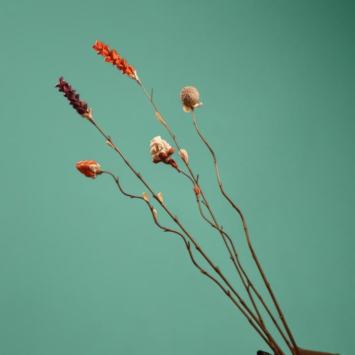 Сухоцвет на бамбуковом стебле, 150 см, коралловый