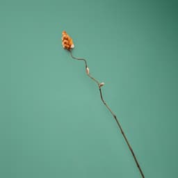 Сухоцвет на бамбуковом стебле, 150 см, оранжевый