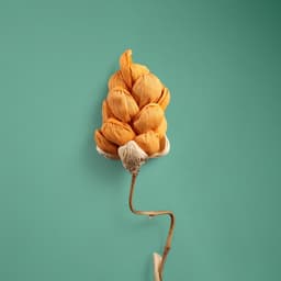 Сухоцвет на бамбуковом стебле, 150 см, оранжевый