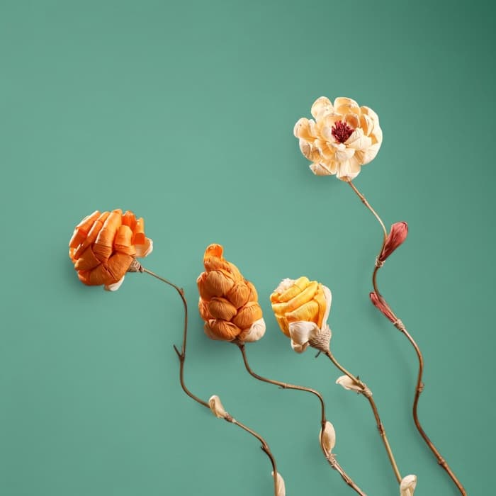 Сухоцвет на бамбуковом стебле, 150 см, оранжевый