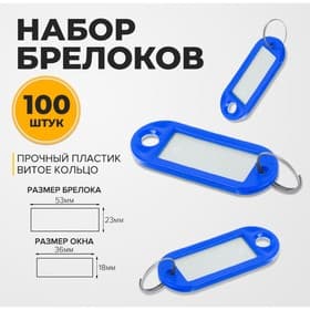 Набор бирок для ключей на кольце «Идентификатор», 53 мм, 100 шт., синий