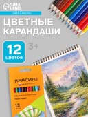 Карандаши цветные «Красин. Поле чудес», трёхгранные, заточенные, европодвес, 12 шт.