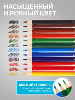 Карандаши цветные «Красин. Поле чудес», трёхгранные, заточенные, европодвес, 12 шт.