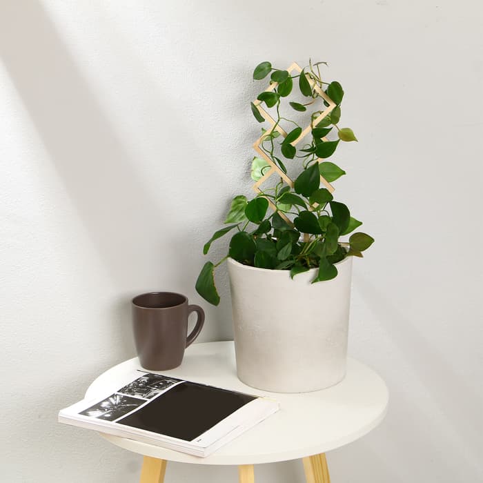 Шпалера, 36×12 см, дерево, «Ромб», Greengo