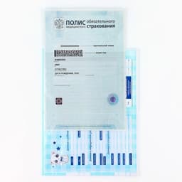 Папка для медицинского полиса «Наш котёнок», 17.5×11.3 см