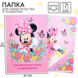 Свидетельство о рождении, обложка А4 для девочки, 1 файл 21×30 см, Минни Маус
