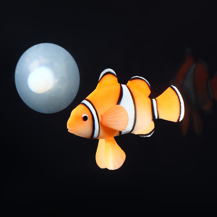 Декор для аквариума «Клоун оцеллярис», 6.6×4.3 см, с неоновым эффектом, силикон