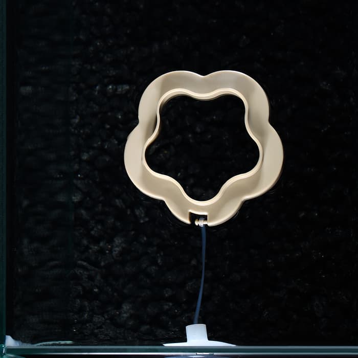 Кормушка для рыб плавающая, 7×7 см, серая