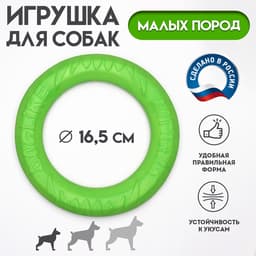 Кольцо «ДогЛайк» D-5195, 8-мигранное, миниатюрное, d=16.5 см, зелёное