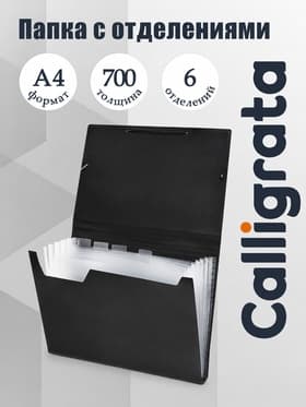 Папка картотека А4, Calligrata, 6 отделений, пластиковая, 700 мкм, чёрная